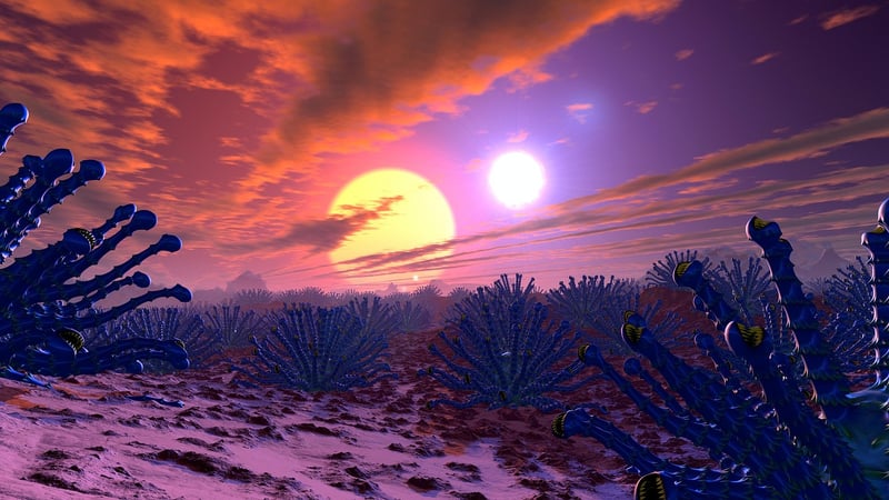 Extraterrestrial Life